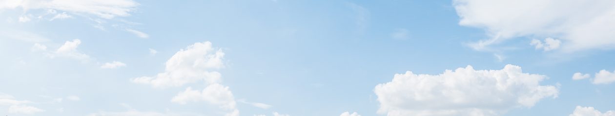 特定非営利活動法人法人ビビッド